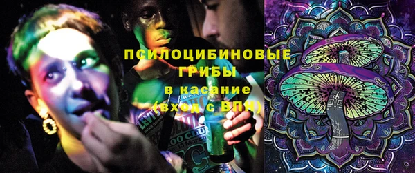 дурь Алексин