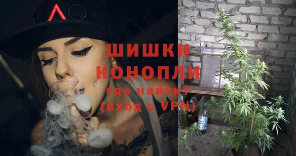 шишки Алексеевка