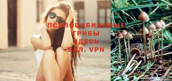 шишки Алексеевка