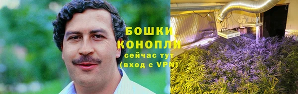 шишки Алексеевка