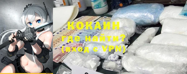 молекула духа Осинники