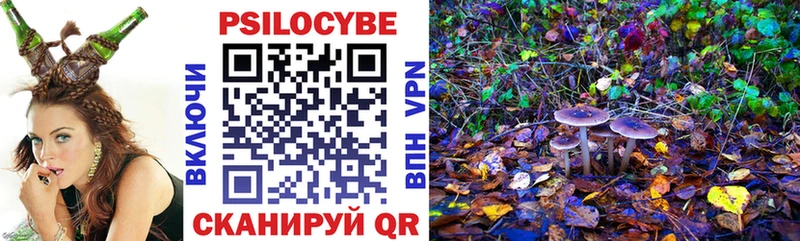 Псилоцибиновые грибы Psilocybine cubensis  закладка  Солигалич 